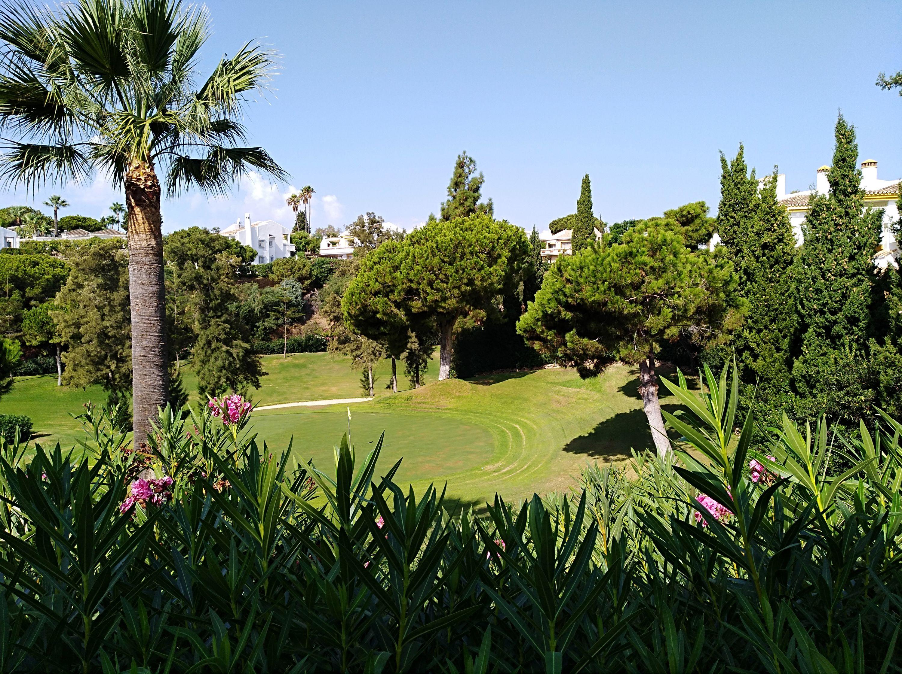CLUB DE GOLF LA SIESTA